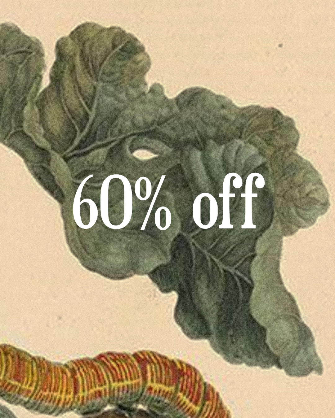 60% OFF